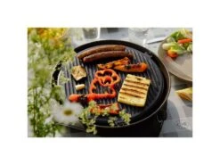 Campingaz Kooktoestel Stove 360 Grill CV 19 Campingaz Kooktoestel Stove 360 Grill CV -Tevelde 124 7 campingaz kooktoestel stove 360 grill cv 2000038776